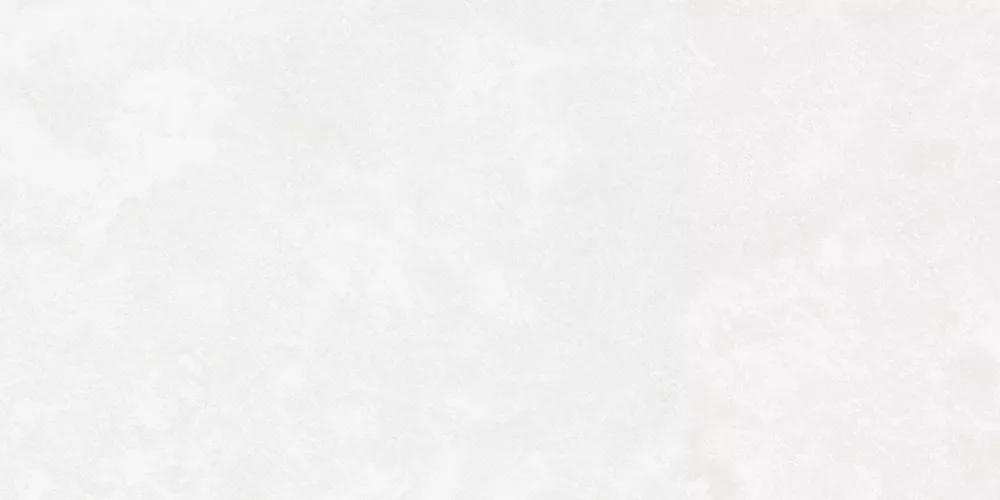Керамогранит Central Park (Централ Парк) 600*1200 белый K-701/MR — купить в Уссурийске