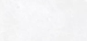 Керамогранит Синара (Sinara) 600*1200 матовый элегант G311MR — купить в Уссурийске