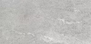 Керамогранит Конжак (Kondjak) 300*600 матовый элегант G261MR — купить в Уссурийске