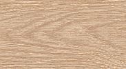 Плинтус "Идеал" пластиковый Элит Дуб Сафари (2500*22*67 мм) — купить в Уссурийске
