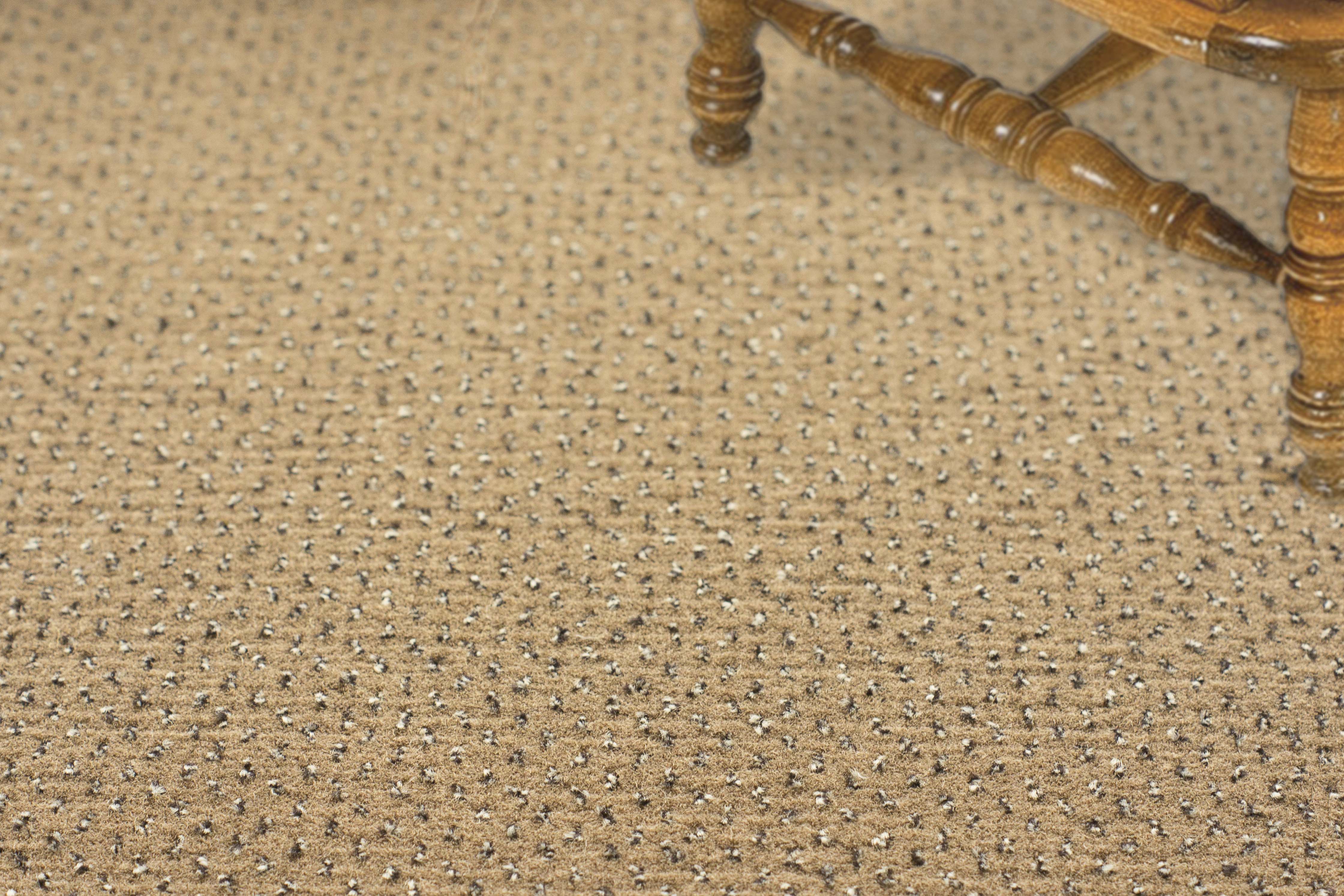 Ковролин "Зартекс" Eternity 142 бежевый (4м) — купить в Уссурийске